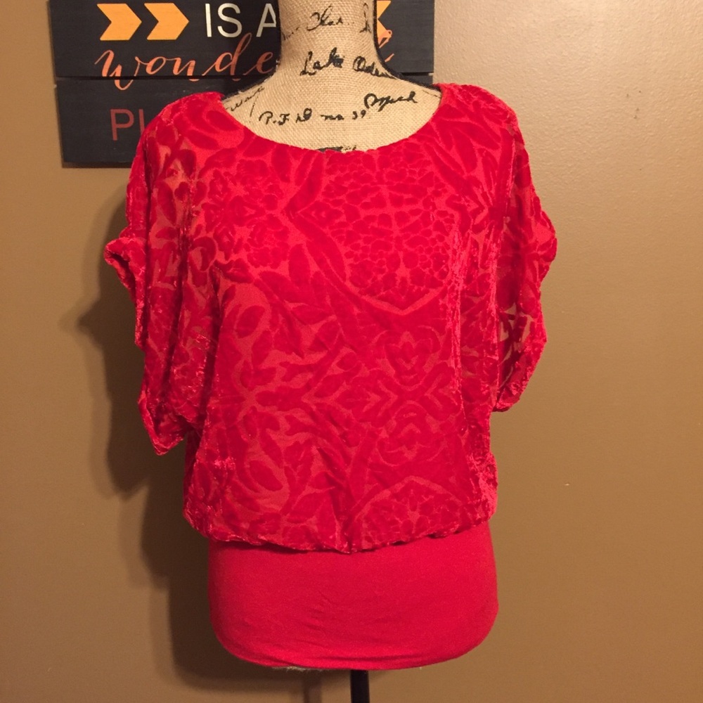 Joseph A. Crushed Velvet Top